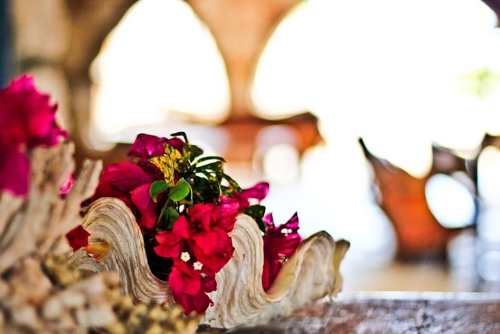 Palumbokendwa Otel Zanzibar Dış mekan fotoğraf
